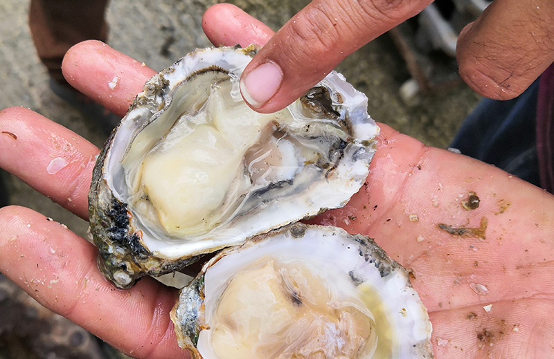 London’s Longstanding Love Affair with Oysters