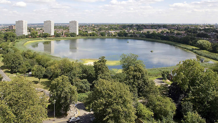 Manor House: The London District That Refuses to Be Defined